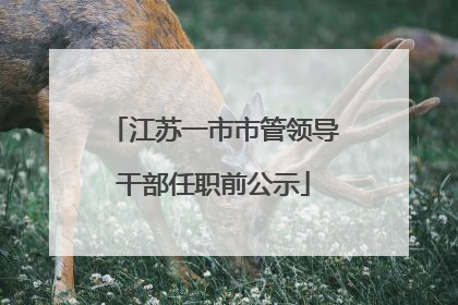 江苏一市市管领导干部任职前公示