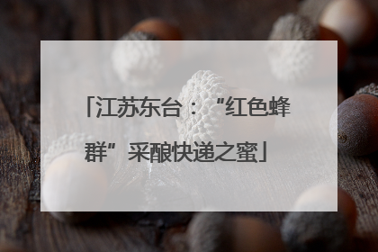 江苏东台：“红色蜂群”采酿快递之蜜