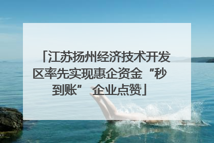江苏扬州经济技术开发区率先实现惠企资金“秒到账” 企业点赞