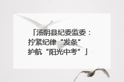 汤阴县纪委监委：拧紧纪律“发条” 护航“阳光中考”