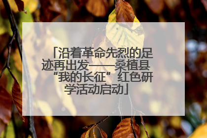 沿着革命先烈的足迹再出发——桑植县“我的长征”红色研学活动启动