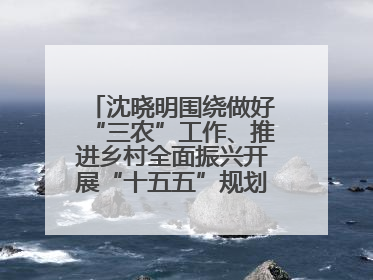 沈晓明围绕做好“三农”工作、推进乡村全面振兴开展“十五五”规划专题调研