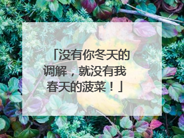 没有你冬天的调解，就没有我春天的菠菜！