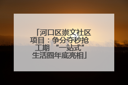 河口区崇文社区项目：争分夺秒抢工期 “一站式”生活圈年底亮相