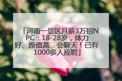 河南一景区月薪3万招NPC：18-28岁，体力好、颜值高、会聊天！已有1000多人应聘