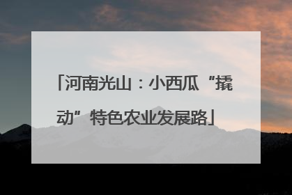 河南光山：小西瓜“撬动”特色农业发展路