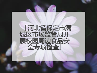 河北省保定市满城区市场监管局开展校园周边食品安全专项检查