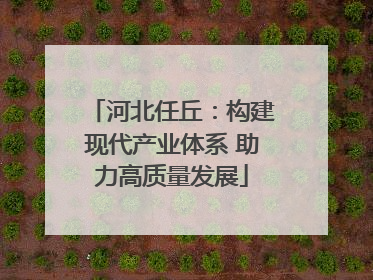 河北任丘：构建现代产业体系 助力高质量发展