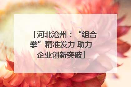 河北沧州：“组合拳”精准发力 助力企业创新突破