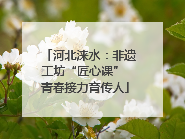 河北涞水：非遗工坊“匠心课” 青春接力育传人