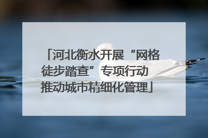 河北衡水开展“网格徒步踏查”专项行动 推动城市精细化管理