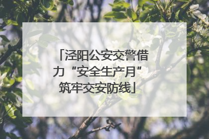 泾阳公安交警借力“安全生产月”筑牢交安防线