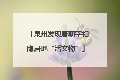 泉州发现唐朝宰相隐居地“活文物”