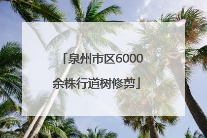 泉州市区6000余株行道树修剪