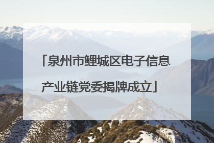 泉州市鲤城区电子信息产业链党委揭牌成立