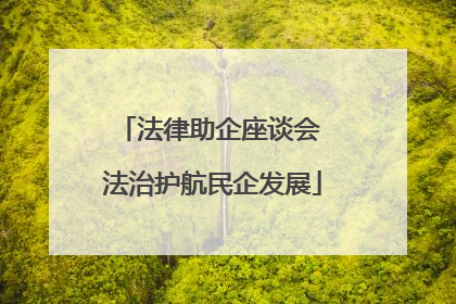 法律助企座谈会 法治护航民企发展