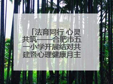 法育同行 心灵共筑——合肥市五一小学开展结对共建暨心理健康月主题活动