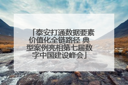 泰安打通数据要素价值化全链路径 典型案例亮相第七届数字中国建设峰会