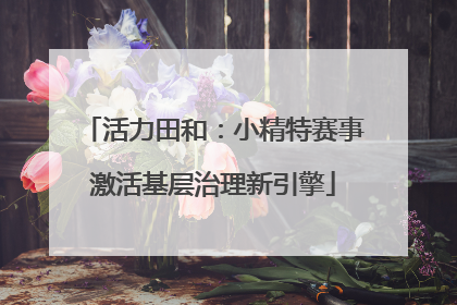活力田和：小精特赛事激活基层治理新引擎