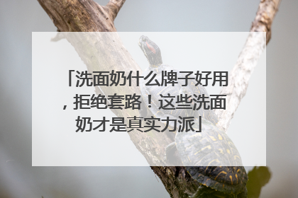 洗面奶什么牌子好用，拒绝套路！这些洗面奶才是真实力派