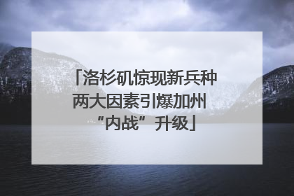 洛杉矶惊现新兵种 两大因素引爆加州“内战”升级