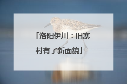 洛阳伊川：旧寨村有了新面貌