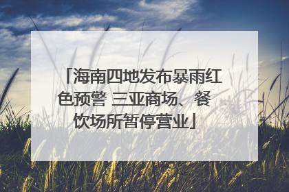 海南四地发布暴雨红色预警 三亚商场、餐饮场所暂停营业
