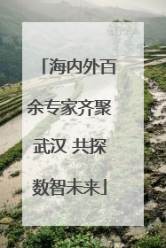 海内外百余专家齐聚武汉 共探数智未来