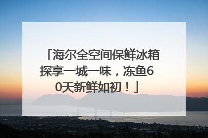 海尔全空间保鲜冰箱探享一城一味，冻鱼60天新鲜如初！