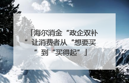 海尔消金“政企双补”让消费者从“想要买”到“买得起”