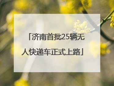 济南首批25辆无人快递车正式上路