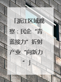 浙江区域观察：民企“青蓝接力”折射产业“向新力”