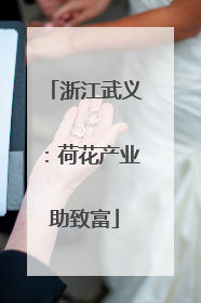 浙江武义：荷花产业助致富