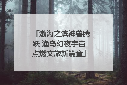 渤海之滨神兽腾跃 渔岛幻夜宇宙点燃文旅新篇章