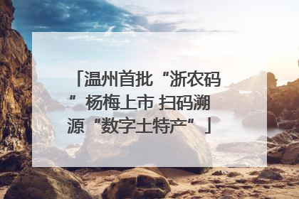 温州首批“浙农码”杨梅上市 扫码溯源“数字土特产”