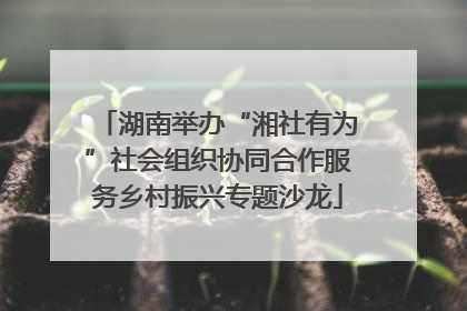 湖南举办“湘社有为”社会组织协同合作服务乡村振兴专题沙龙