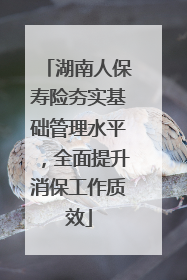 湖南人保寿险夯实基础管理水平，全面提升消保工作质效