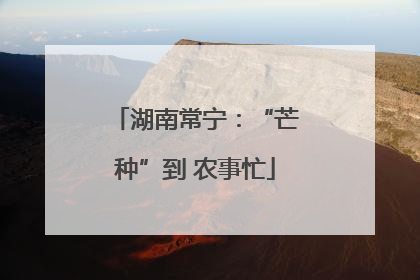 湖南常宁：“芒种”到 农事忙
