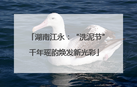 湖南江永：“洗泥节”千年瑶韵焕发新光彩