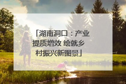 湖南洞口：产业提质增效 绘就乡村振兴新图景