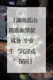 湖南蓝山精准施策促就业 毕业生“沉浸式”探岗