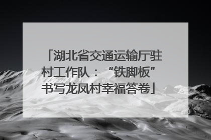湖北省交通运输厅驻村工作队：“铁脚板”书写龙凤村幸福答卷