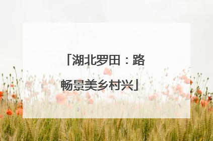 湖北罗田：路畅景美乡村兴