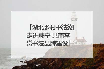 湖北乡村书法潮走进咸宁 共商李邕书法品牌建设