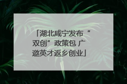 湖北咸宁发布“双创”政策包 广邀英才返乡创业