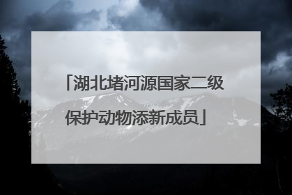 湖北堵河源国家二级保护动物添新成员