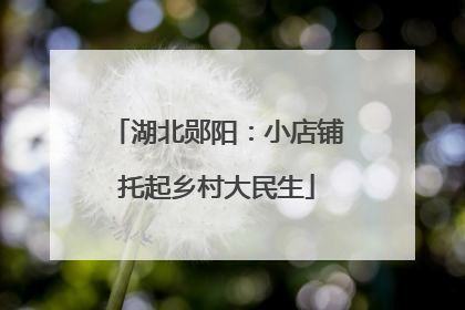湖北郧阳：小店铺托起乡村大民生