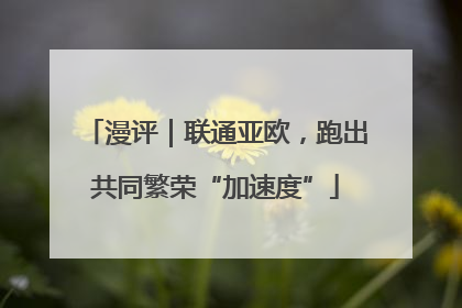 漫评｜联通亚欧，跑出共同繁荣“加速度”