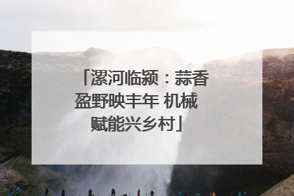 漯河临颍：蒜香盈野映丰年 机械赋能兴乡村