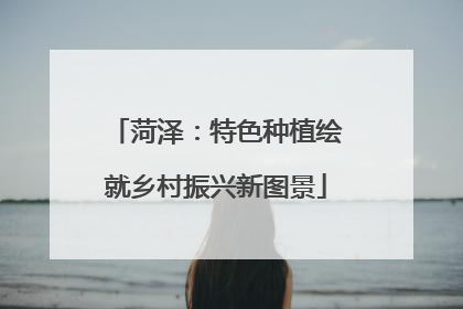 菏泽：特色种植绘就乡村振兴新图景